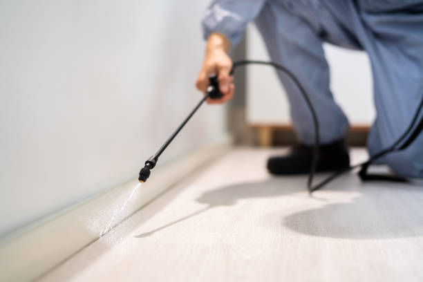 Bed Bug Pre-Treatment Preparation Assessment in Southgate